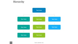 Hierarchy Ppt PowerPoint Presentation Model Graphics Design
