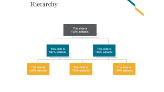Hierarchy Ppt PowerPoint Presentation Outline Graphics Pictures