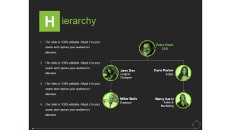 Hierarchy Ppt PowerPoint Presentation Pictures Example