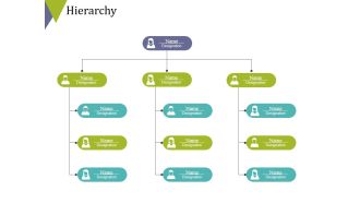 Hierarchy Ppt PowerPoint Presentation Slides Aids