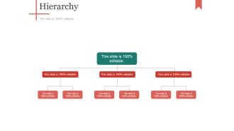 Hierarchy Ppt PowerPoint Presentation Styles Background Images