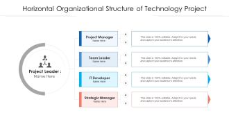 Horizontal Organizational Structure Of Technology Project Ppt PowerPoint Presentation File Ideas PDF