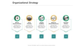 How Transform Segments Company Harmony And Achievement Organizational Strategy Topics PDF