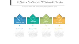 Hr Strategy Plan Template Ppt Infographic Template