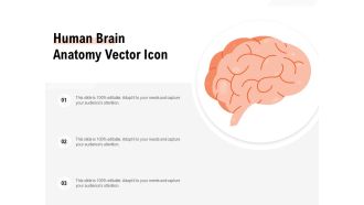 Human Brain Anatomy Vector Icon Ppt PowerPoint Presentation File Samples