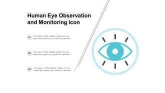 Human Eye Observation And Monitoring Icon Ppt PowerPoint Presentation Layouts Graphics