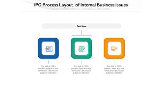 IPO Process Layout Of Internal Business Issues Ppt PowerPoint Presentation Summary Layout Ideas PDF