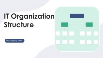 IT Organization Structure Ppt PowerPoint Presentation Complete Deck With Slides