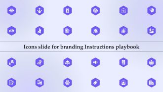 Icons Slide For Branding Instructions Playbook Topics PDF