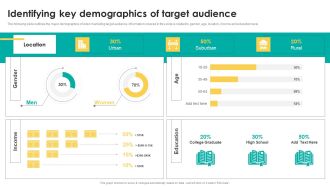 Identifying Key Demographics Of Target Audience Themes PDF