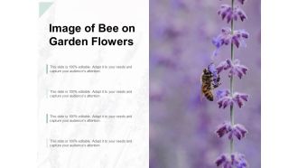 Image Of Bee On Garden Flowers Ppt PowerPoint Presentation Pictures Example File