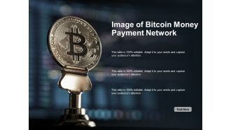 Image Of Bitcoin Money Payment Network Ppt PowerPoint Presentation Professional Example Introduction