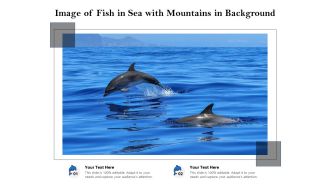 Image Of Fish In Sea With Mountains In Background Ppt PowerPoint Presentation File Outline PDF