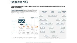 Implementing Digital Asset Management Introduction Ppt Styles Ideas PDF