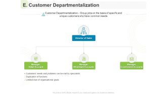 Implementing Human Resources HR Best Practices Strategy E Customer Departmentalization Ppt Show Model PDF