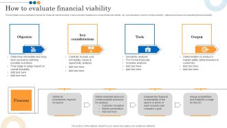 Implementing Marketing Strategies How To Evaluate Financial Viability Inspiration PDF
