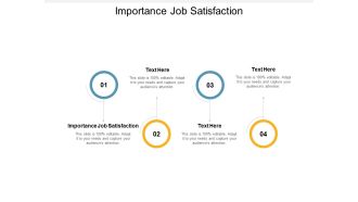 Importance Job Satisfaction Ppt PowerPoint Presentation File Skills Cpb