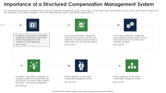 Importance Of A Structured Compensation Management System Professional PDF