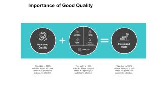 Importance Of Good Quality Ppt PowerPoint Presentation Infographic Template Graphics Template
