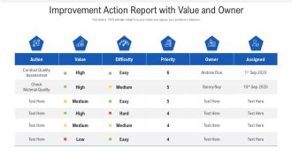 Improvement Action Report With Value And Owner Ppt PowerPoint Presentation Professional Themes PDF