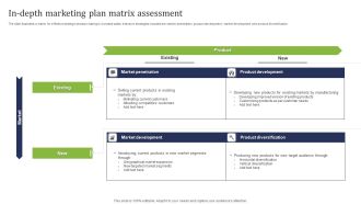 In Depth Marketing Plan Matrix Assessment Ppt Styles Summary PDF