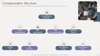 Income Assessment Report Compensation Structure Elements PDF