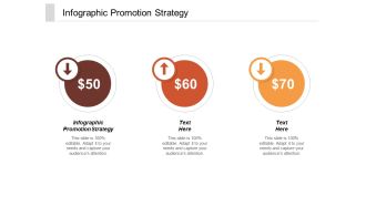Infographic Promotion Strategy Ppt PowerPoint Presentation Model Slide Portrait Cpb