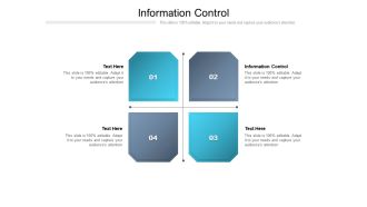 Information Control Ppt PowerPoint Presentation Pictures Files Cpb Pdf