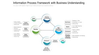 Information Process Framework With Business Understanding Ppt PowerPoint Presentation Portfolio Example Topics PDF