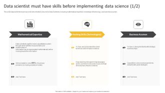 Information Science Data Scientist Must Have Skills Before Implementing Data Science Ppt PowerPoint Presentation Summary Portrait PDF