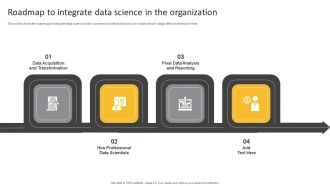 Information Science Roadmap To Integrate Data Science In The Organization Ppt PowerPoint Presentation Slides Templates PDF