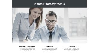 Inputs Photosynthesis Ppt PowerPoint Presentation Portfolio Example Cpb Pdf