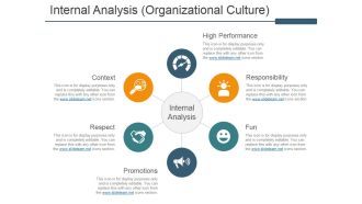 Internal Analysis Organizational Culture Ppt PowerPoint Presentation Icon Graphics
