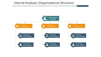 Internal Analysis Organizational Structure Ppt PowerPoint Presentation Gallery Tips