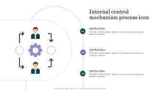Internal Control Mechanism Process Icon Ideas PDF