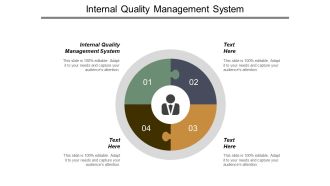 Internal Quality Management System Ppt PowerPoint Presentation Pictures Example