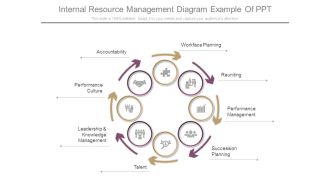 Internal Resource Management Diagram Example Of Ppt