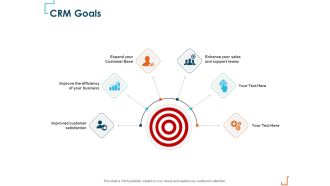 Introducing CRM Framework Within Organization CRM Goals Ppt PowerPoint Presentation Pictures Grid PDF