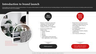 Introduction To Brand Launch Brand Introduction Plan Formats PDF