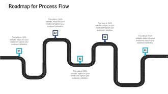 Investor Pitch Deck To Procure Federal Debt From Banks Roadmap For Process Flow Ppt Layouts Objects PDF