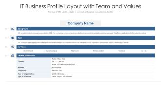 It Business Profile Layout With Team And Values Ppt Inspiration Example Topics PDF