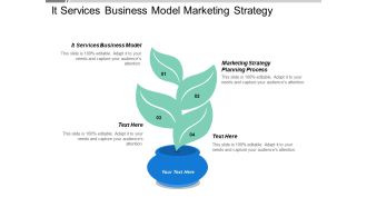 It Services Business Model Marketing Strategy Planning Process Ppt PowerPoint Presentation Portfolio Vector