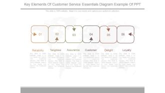 Key Elements Of Customer Service Essentials Diagram Example Of Ppt
