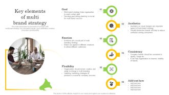 Key Elements Of Multi Brand Strategy Guidelines PDF