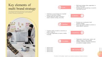Key Elements Of Multi Brand Strategy Multi Branding Approaches For Different Rules PDF