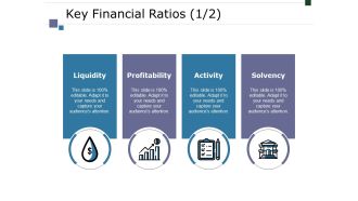 Key Financial Ratios Template 2 Ppt PowerPoint Presentation Ideas Mockup