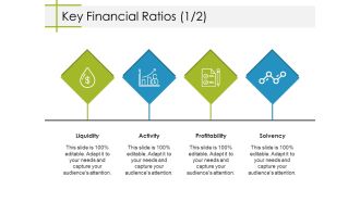 Key Financial Ratios Template 2 Ppt PowerPoint Presentation Summary Samples