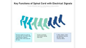 Key Functions Of Spinal Cord With Electrical Signals Ppt PowerPoint Presentation Gallery Example File PDF