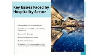 Key Issues Faced By Hospitality Sector Ppt PowerPoint Presentation Icon Example PDF