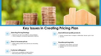 Key Issues In Creating Pricing Plan Ppt PowerPoint Presentation Icon Portfolio PDF